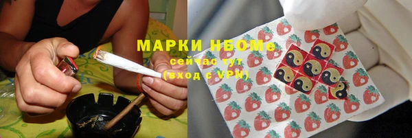 прущие грибы Козельск
