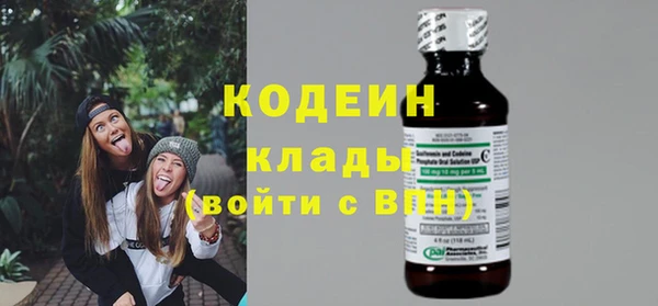 прущие грибы Козельск