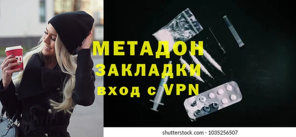 прущие грибы Козельск