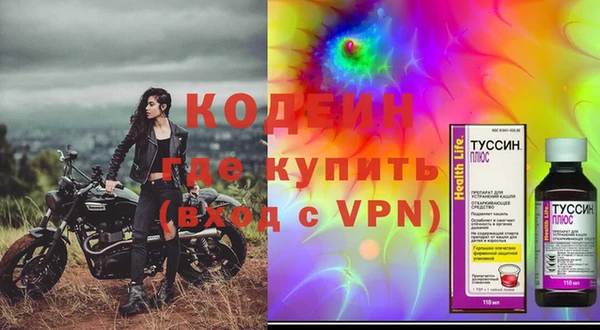 прущие грибы Козельск