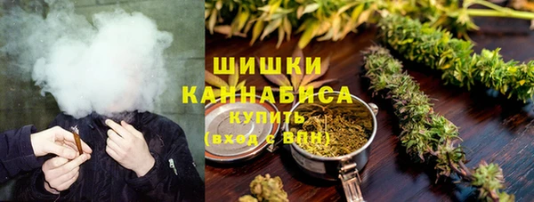 spice Козловка