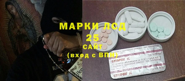 стафф Кодинск