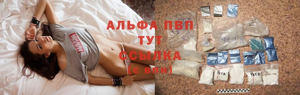 spice Козловка