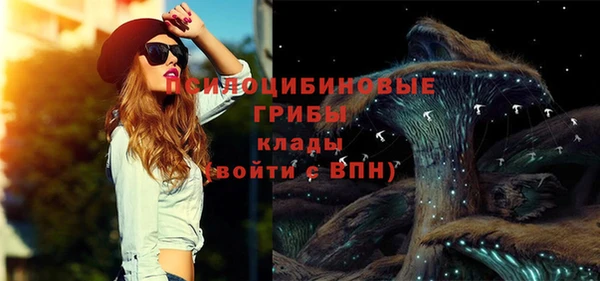 стафф Кодинск
