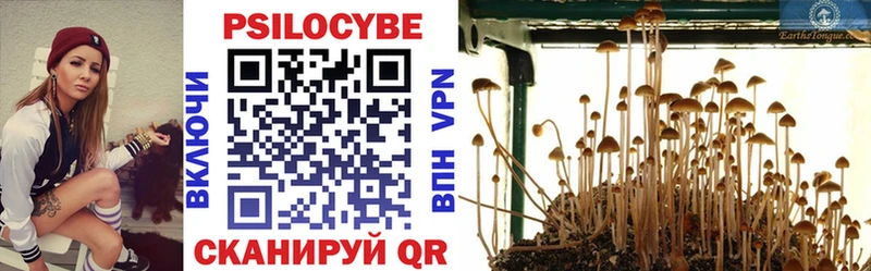 Псилоцибиновые грибы Cubensis  Купить  Гаврилов-Ям 