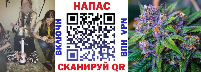 Бошки марихуана сатива  Купить где  Гаврилов-Ям 